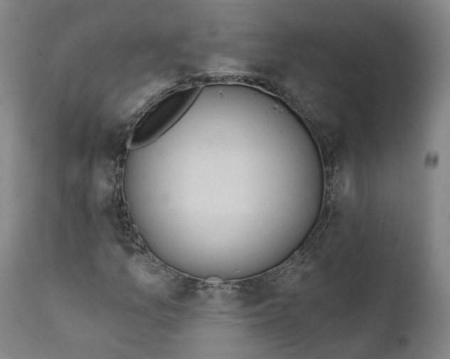 X0000111241157200907161334