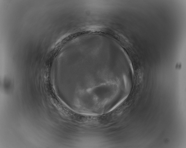 X0000111241158200907161334