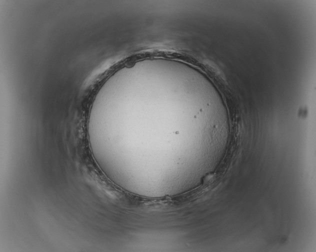 X0000111241159200907161334