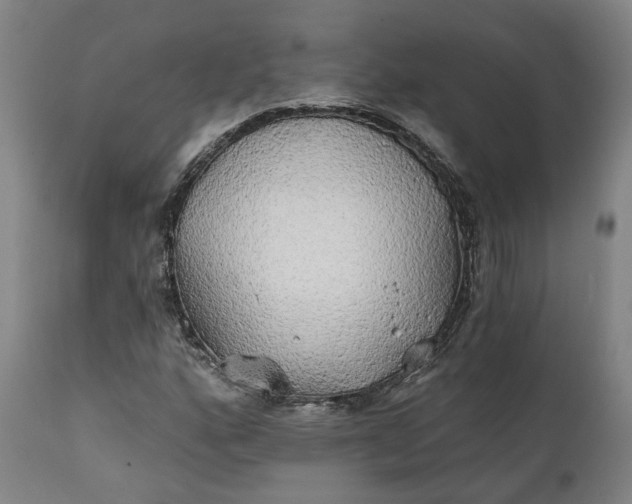 X0000111241160200907161334