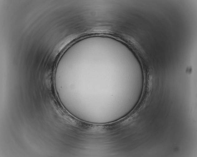 X0000111241162200907161334