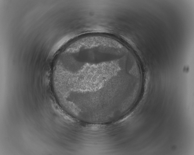 X0000111241163200907161334