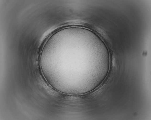 X0000111241164200907161334