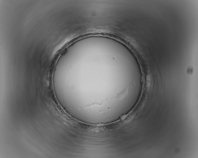 X0000111241165200907161334