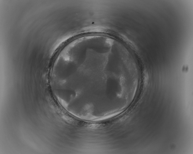 X0000111241166200907161334