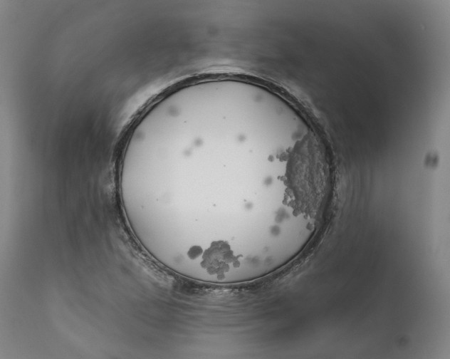 X0000111241167200907161334