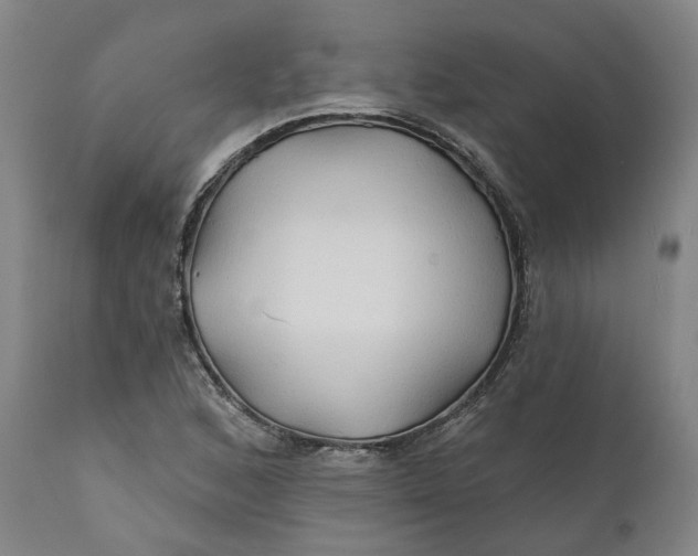 X0000111241168200907161334