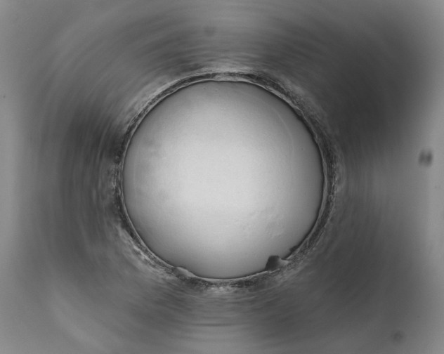 X0000111241169200907161334