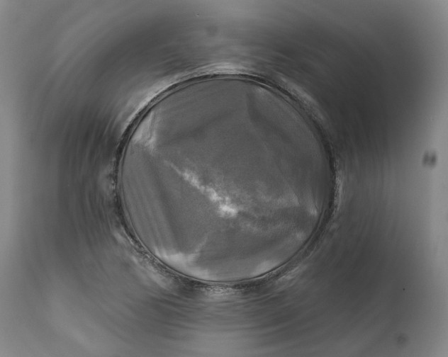 X0000111241170200907161334