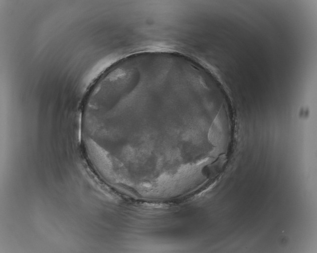 X0000111241171200907161334