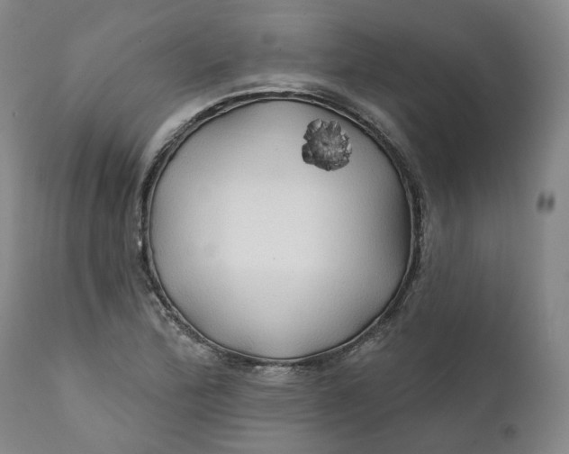 X0000111241172200907161334