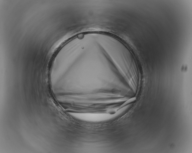 X0000111241173200907161334