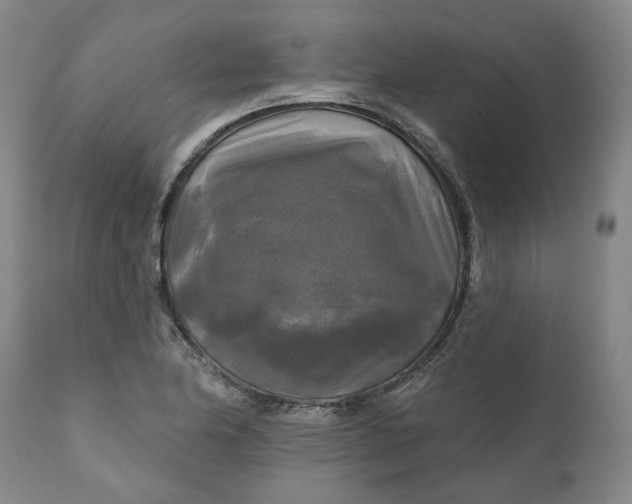 X0000111241174200907161334