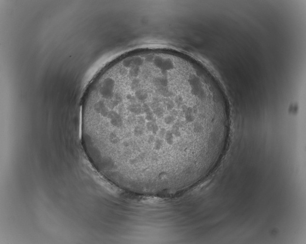 X0000111241175200907161334