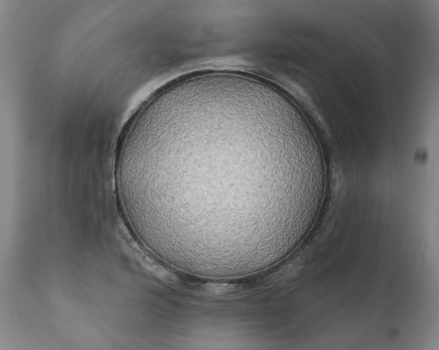 X0000111241176200907161334