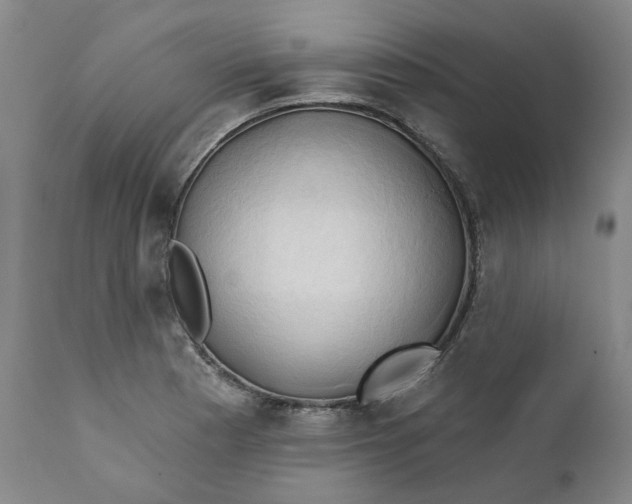 X0000111241177200907161334