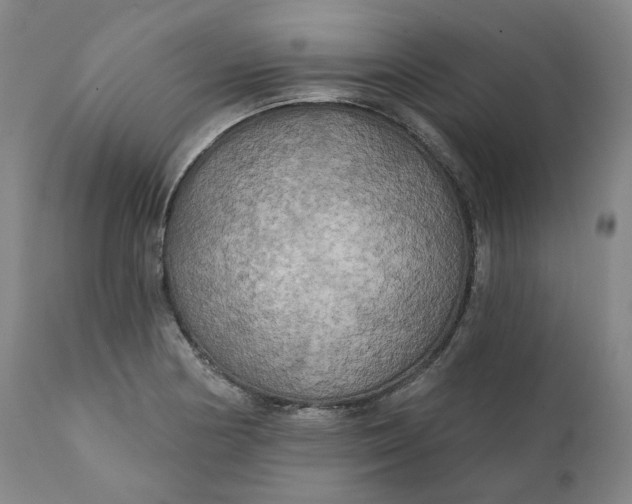 X0000111241178200907161334