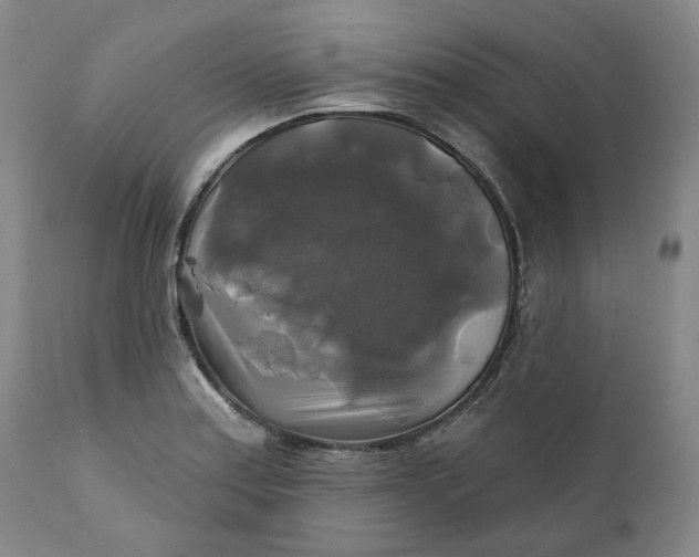 X0000111241179200907161334