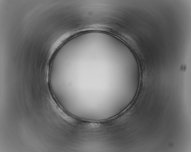 X0000111241180200907161334