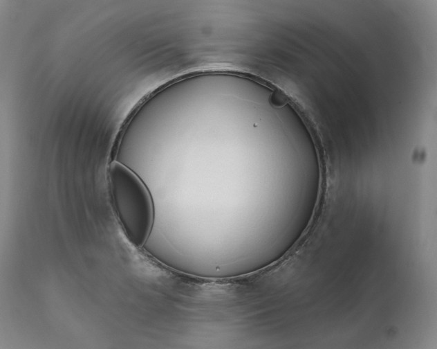 X0000111241181200907161334