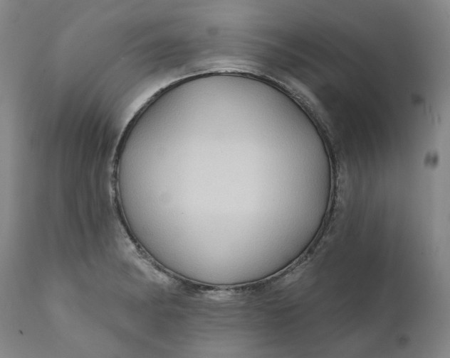 X0000111241182200907161334