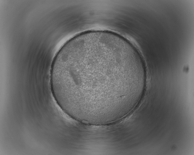 X0000111241183200907161334