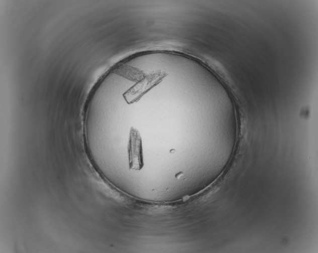 X0000111241184200907161334