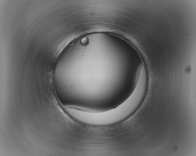 X0000111241185200907161334