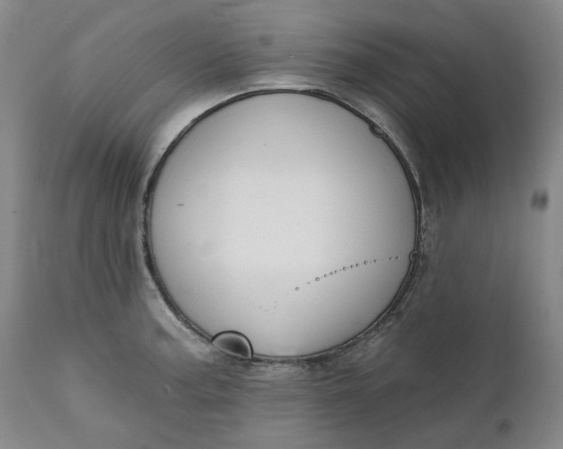 X0000111241187200907161333