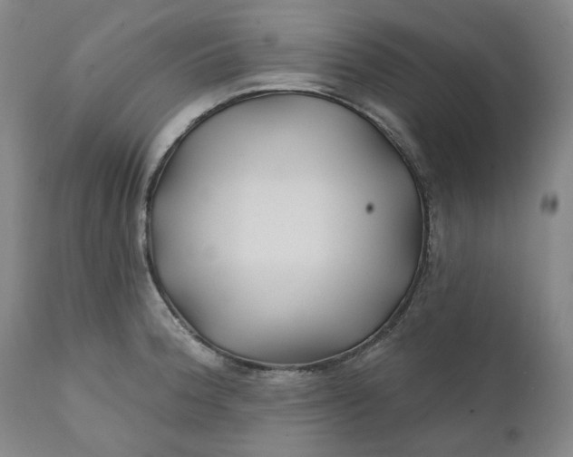 X0000111241188200907161333