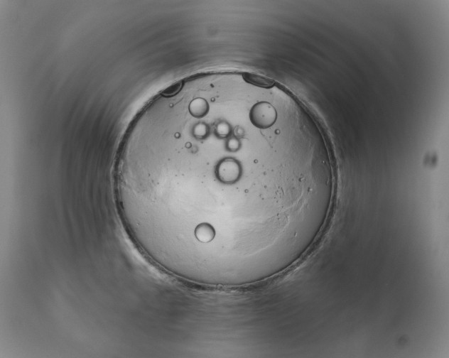 X0000111241189200907161333