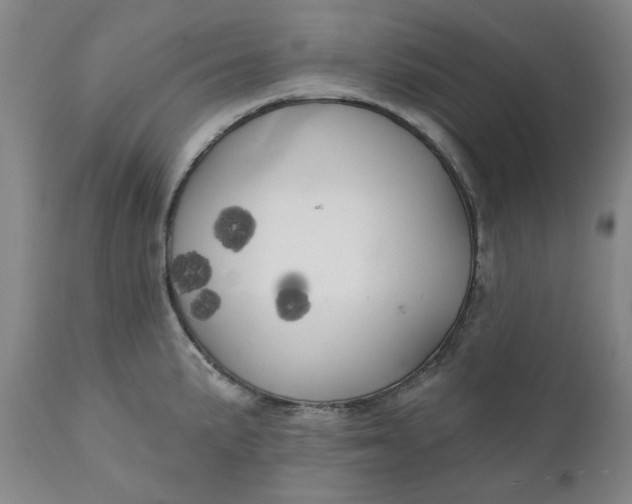 X0000111241191200907161333