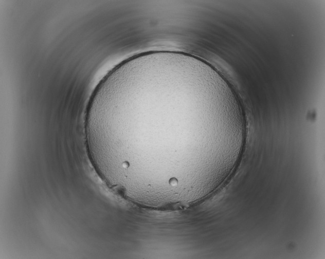 X0000111241192200907161333