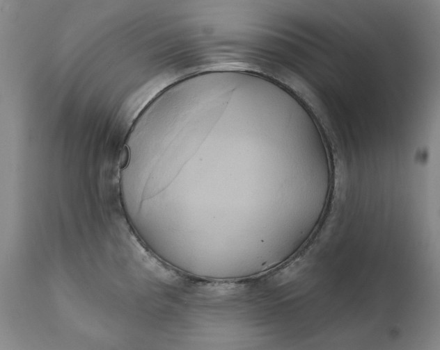 X0000111241193200907161333