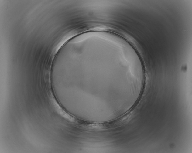 X0000111241194200907161333