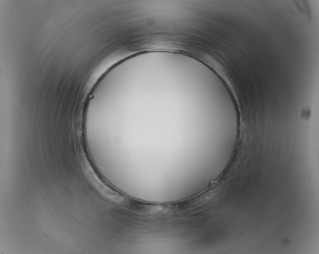 X0000111241195200907161333