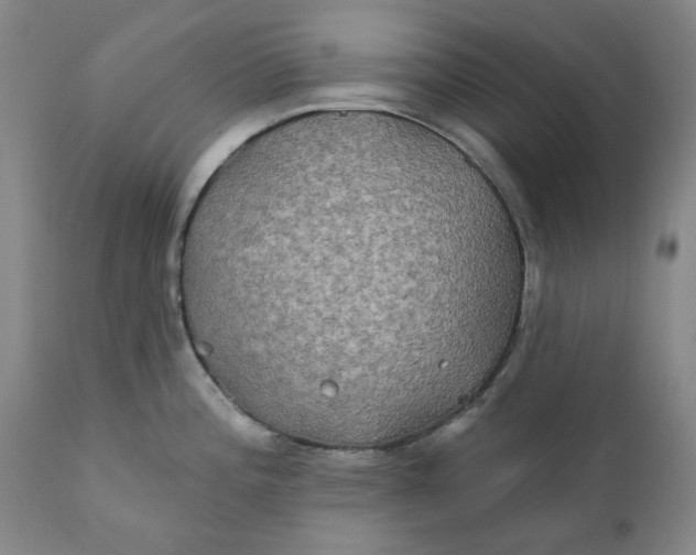 X0000111241196200907161333