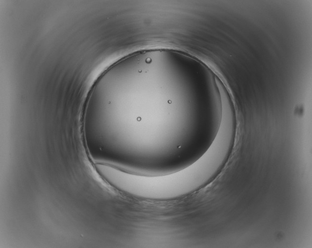 X0000111241197200907161333