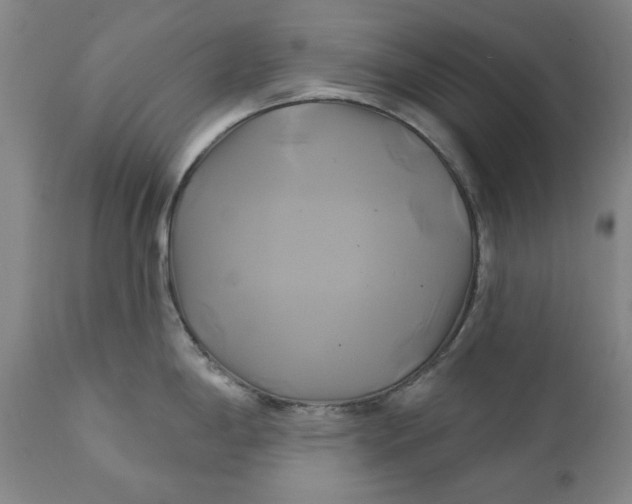 X0000111241198200907161333