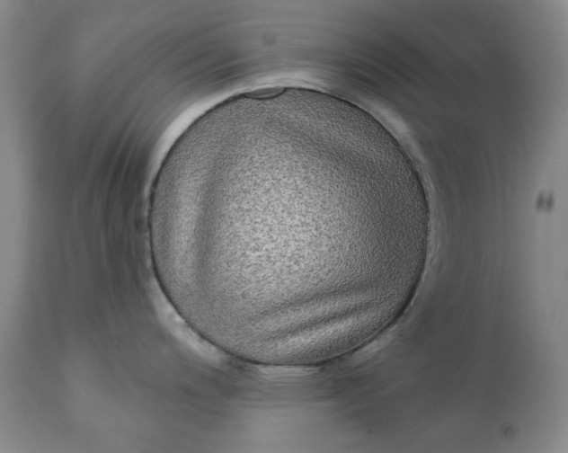 X0000111241200200907161333