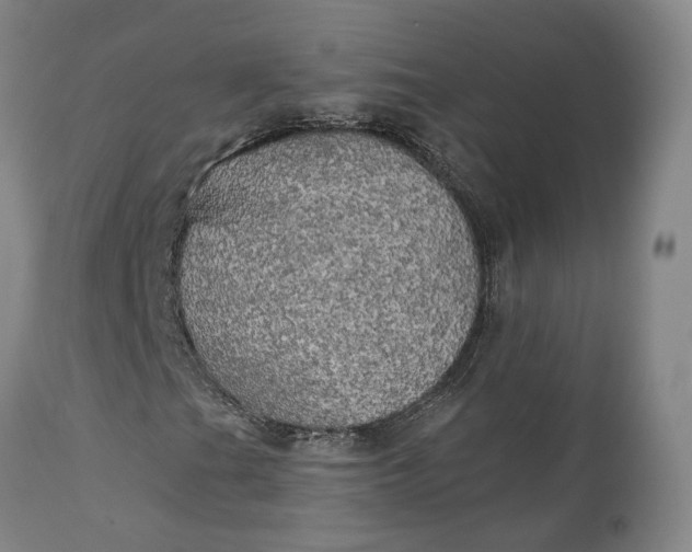 X0000111241201200907161332