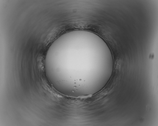 X0000111241202200907161332