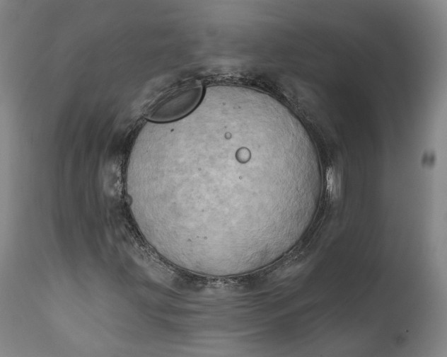 X0000111241203200907161332