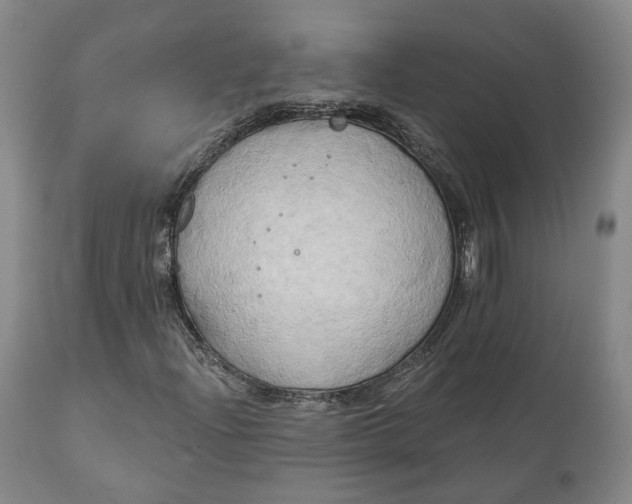 X0000111241204200907161332