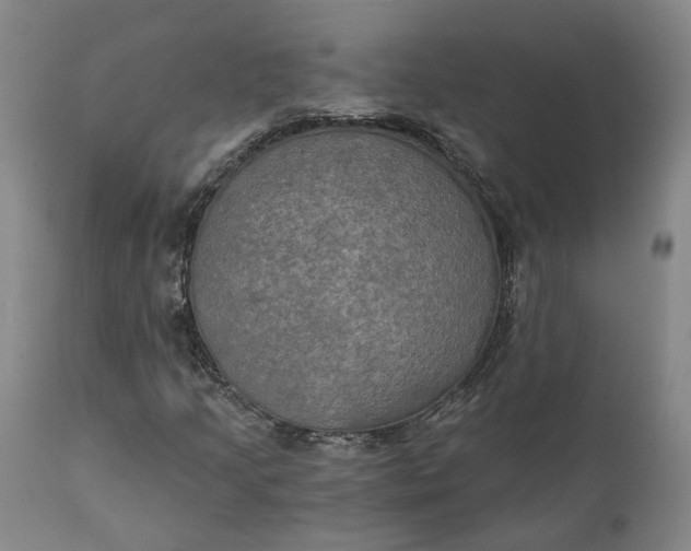 X0000111241205200907161332