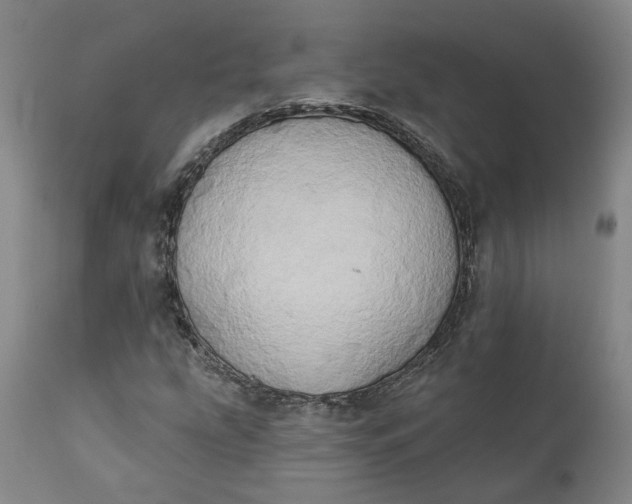 X0000111241207200907161332