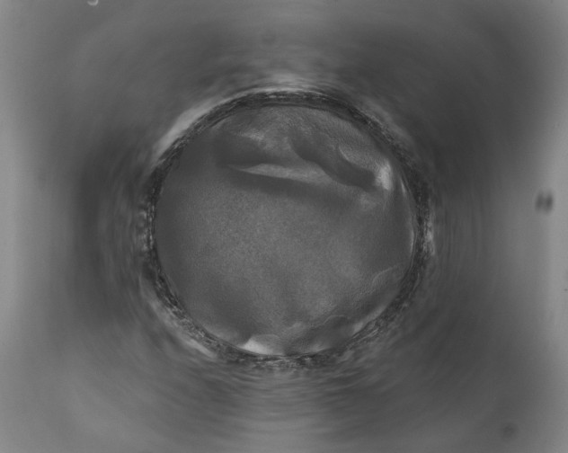 X0000111241208200907161332