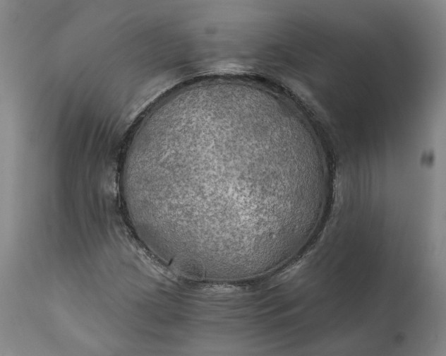 X0000111241209200907161332