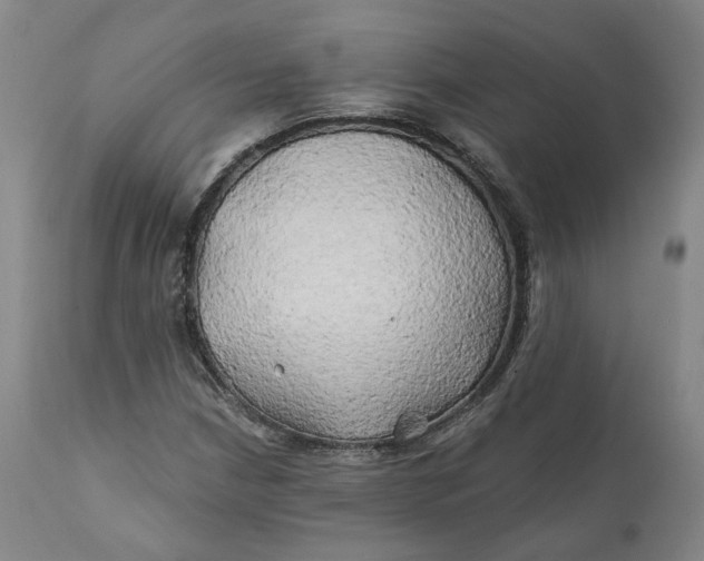 X0000111241210200907161332