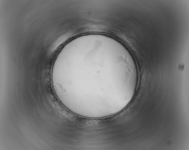 X0000111241211200907161332